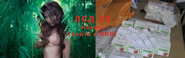 ECSTASY Новозыбков