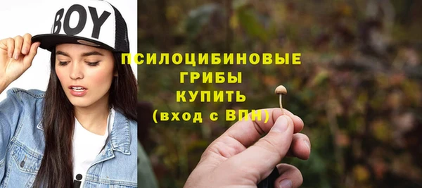 винт Нягань