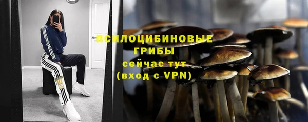 jwh Новокубанск