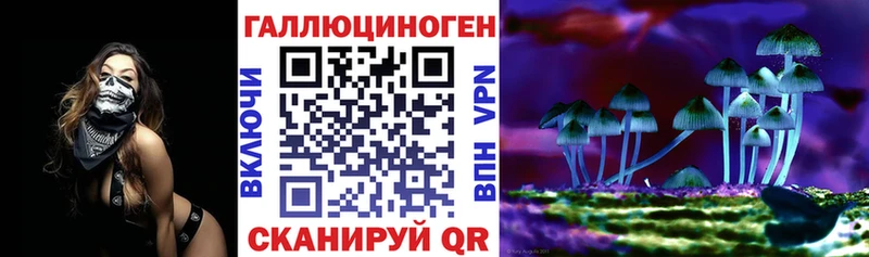 blacksprut онион  Кинель  Галлюциногенные грибы Cubensis 