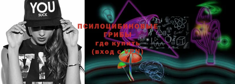 Галлюциногенные грибы Cubensis  купить  цена  Кинель 