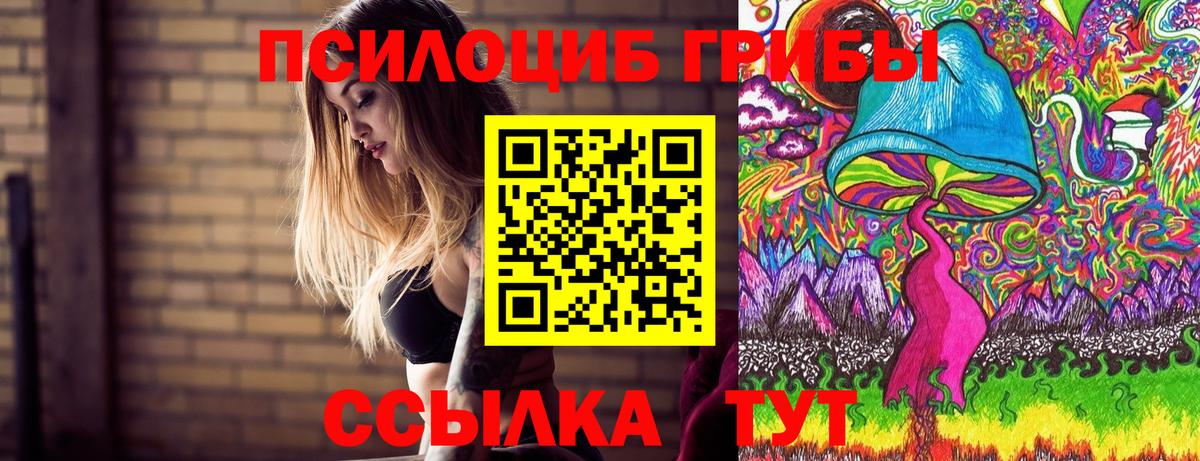 Псилоцибиновые грибы MAGIC MUSHROOMS  Вход с VPN  Кинель 